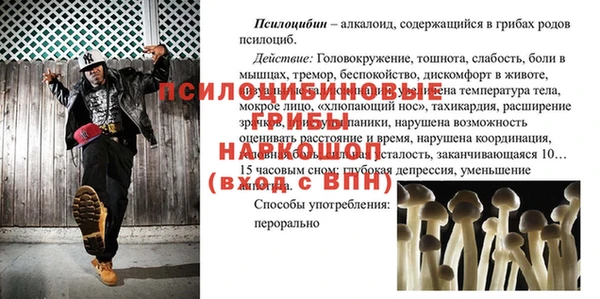 гашик Абдулино