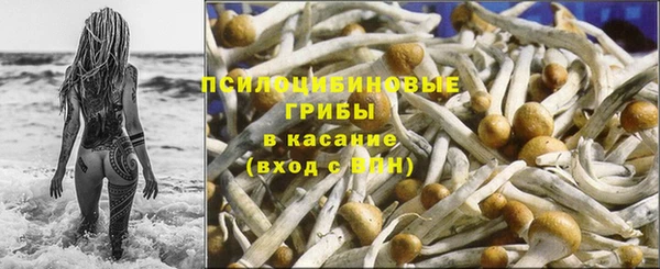 СК Абинск