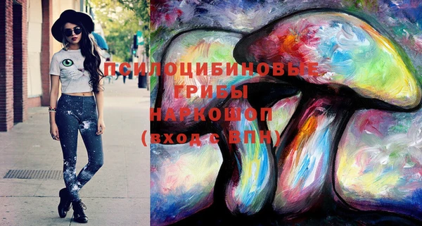 СК Абинск
