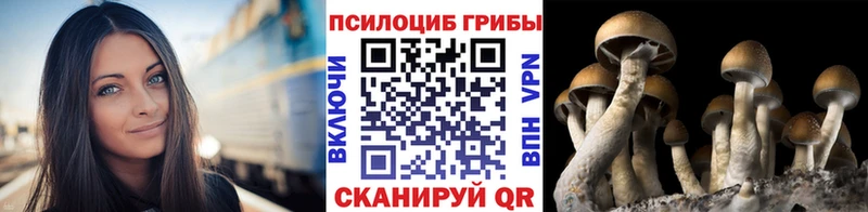 Псилоцибиновые грибы Psilocybine cubensis  Грязи 