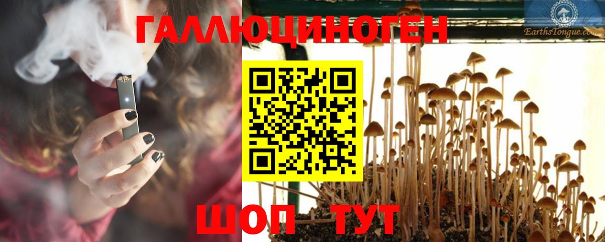 Галлюциногенные грибы GOLDEN TEACHER Грязи
